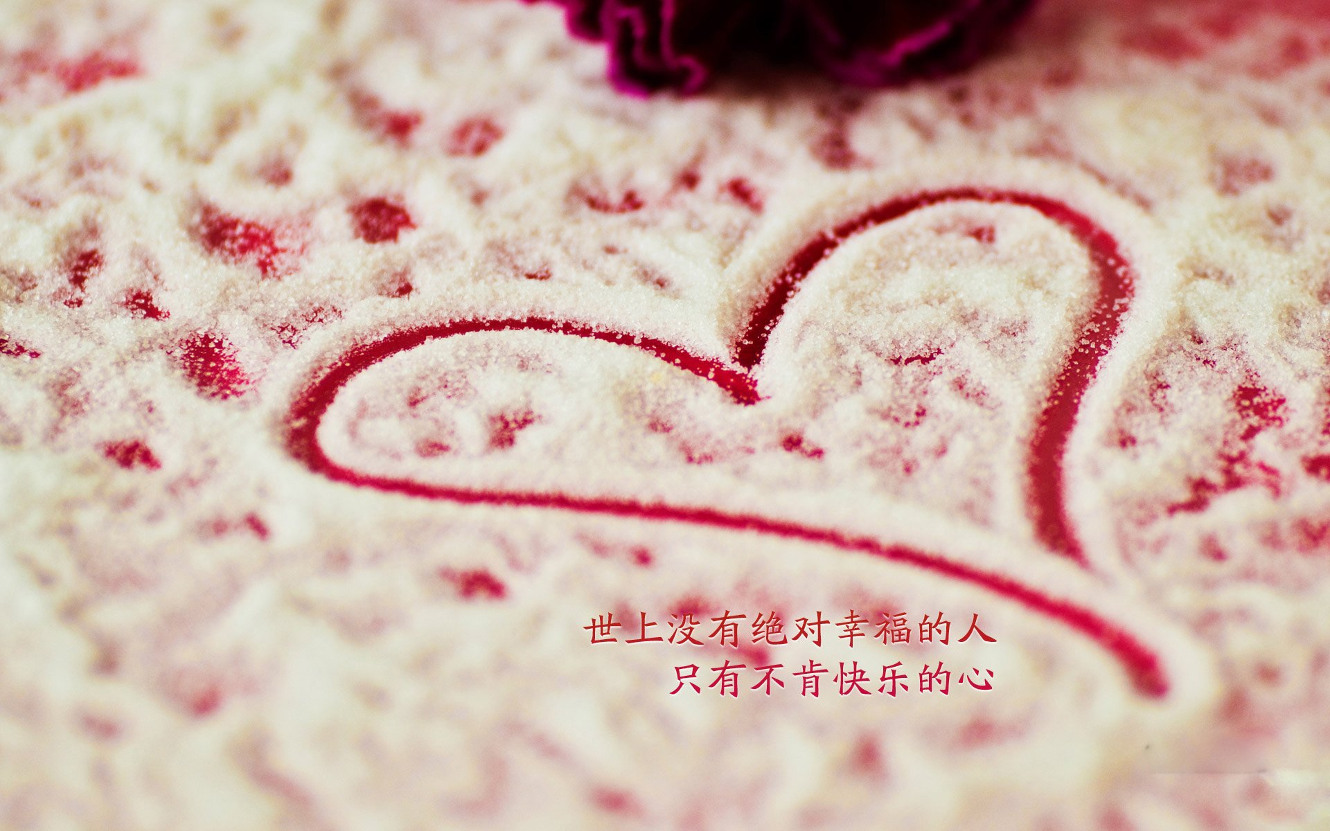 未来之星盘点：从青训到一线的精彩转变，未来之星下一句是什么合适