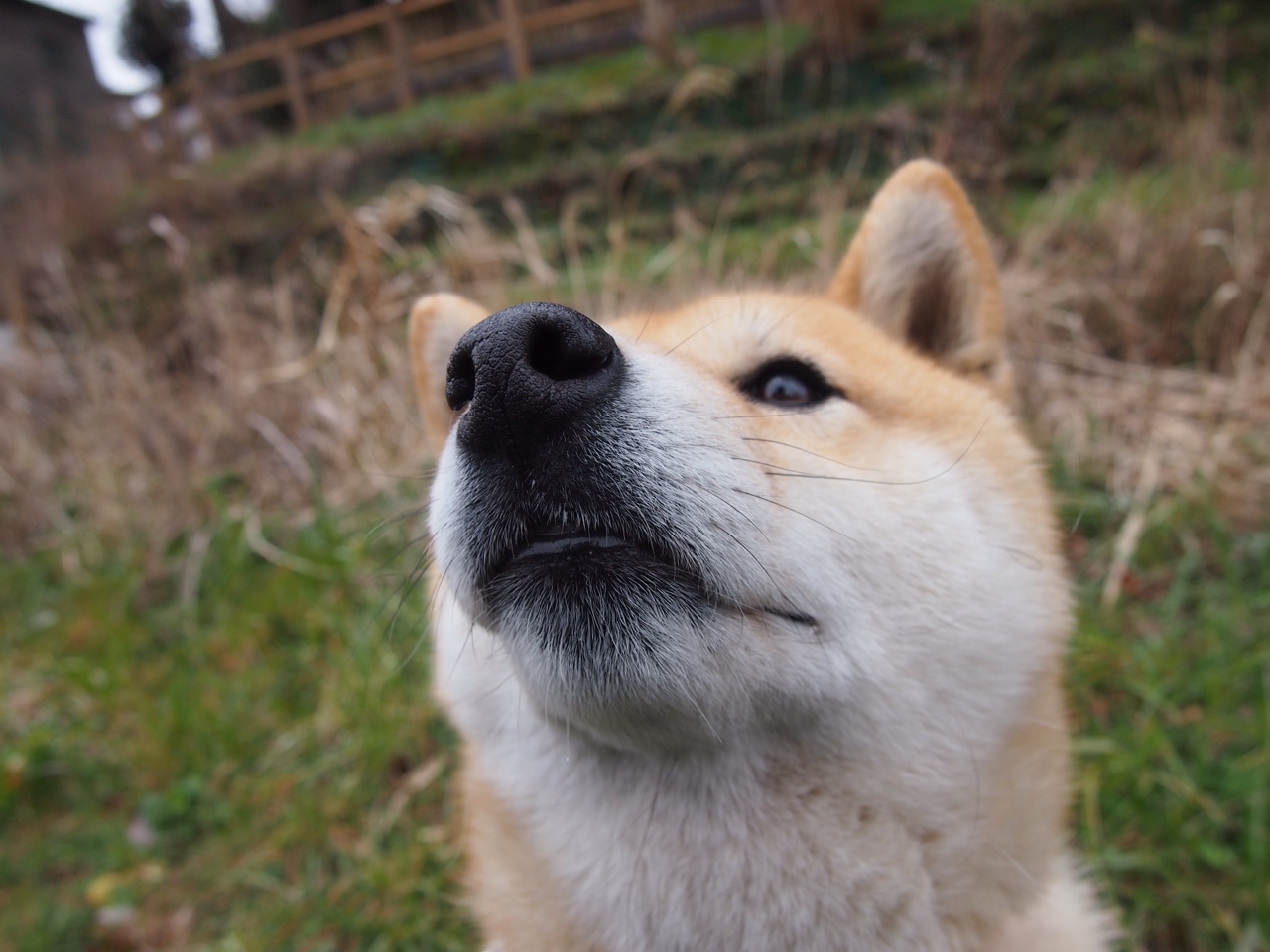 综述：今年台球竞赛的十大焦点事件，综述_今年台球竞赛的十大焦点事件是什么