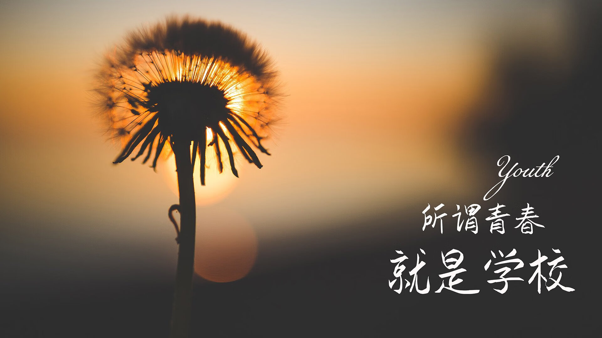 爱游戏官方-塞尔维亚主场逆袭，寻求半决赛晋级，塞尔维亚公开赛