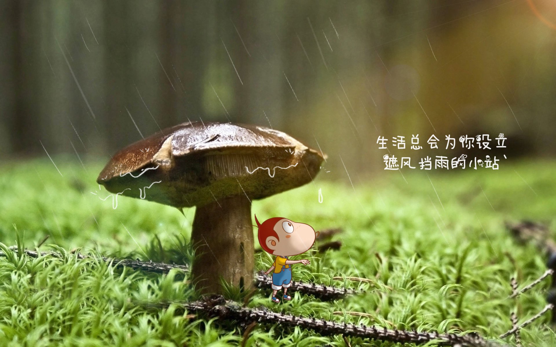 爱游戏登录入口-广州富力火力全开，净胜对手多球，广州富力项目