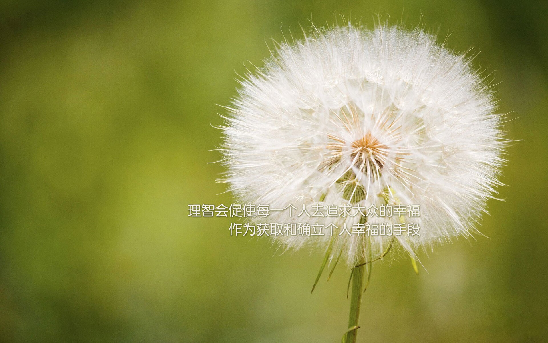 高校体育教师教学能力提升策略研究，高校体育教师教学能力提升策略研究论文
