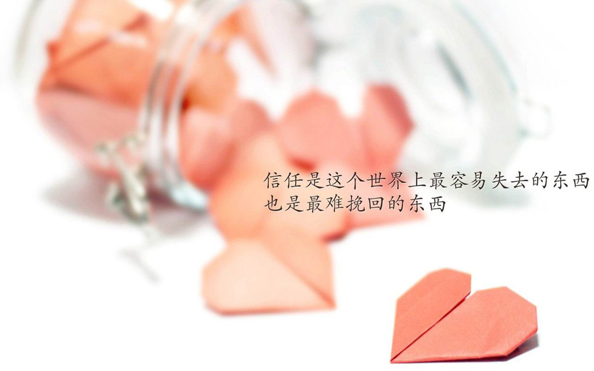 中国跳水队员赛前训练意外受伤，中国跳水队出征视频
