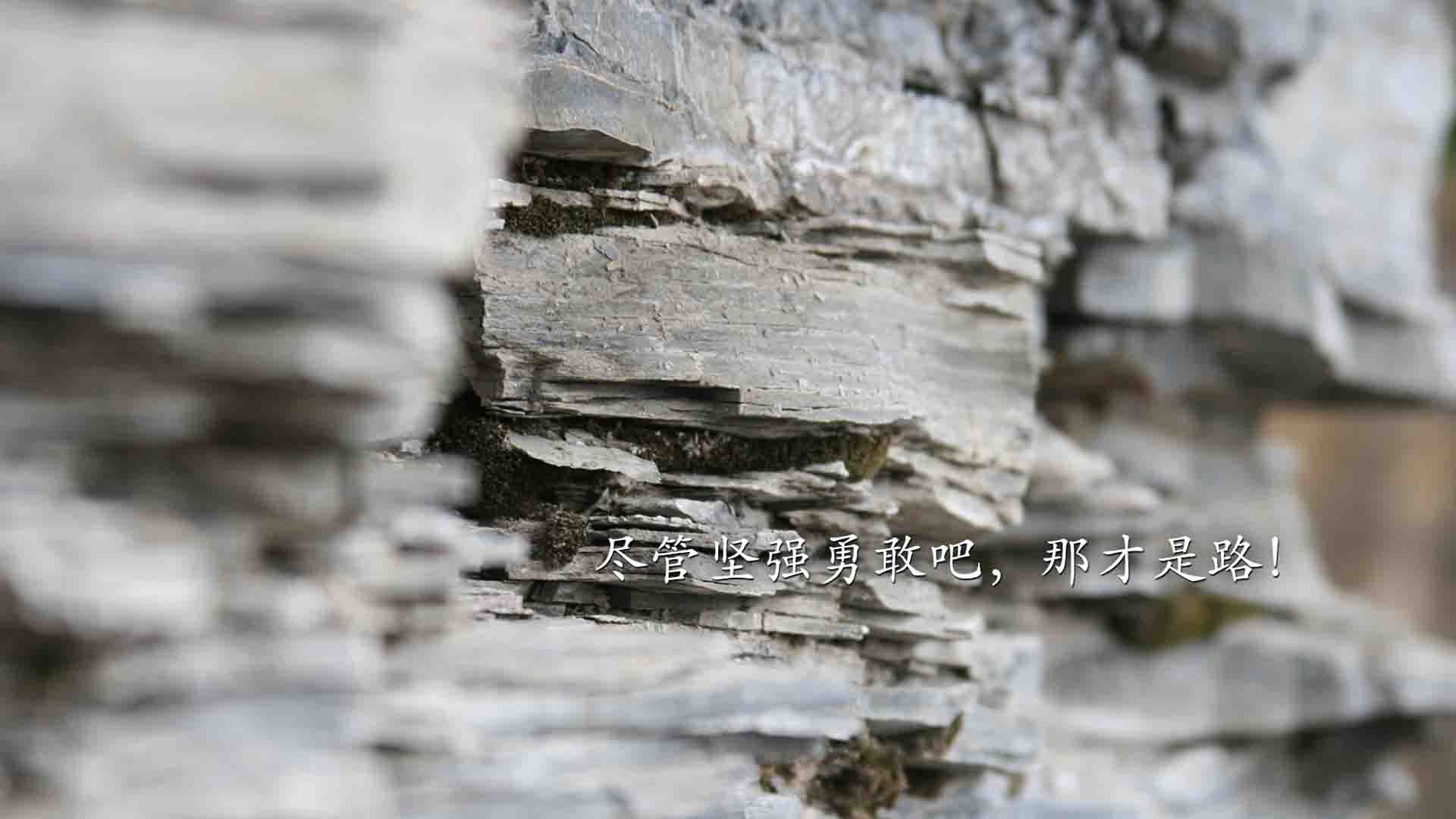 艾比·德尔福：南非队的防守支柱，关键时刻化解对方威胁，南非德比尔斯公司