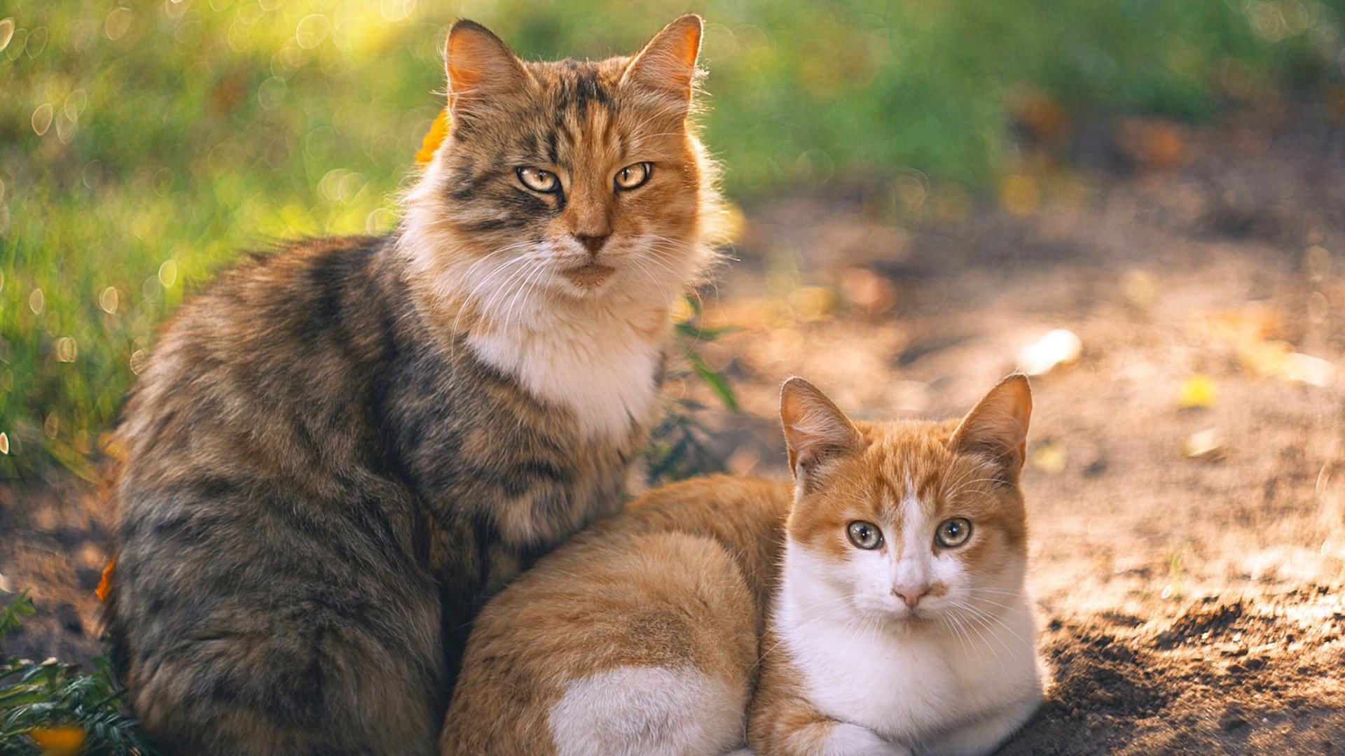 西甲巅峰之战：攻守大戏精彩纷呈，西甲冠军之争