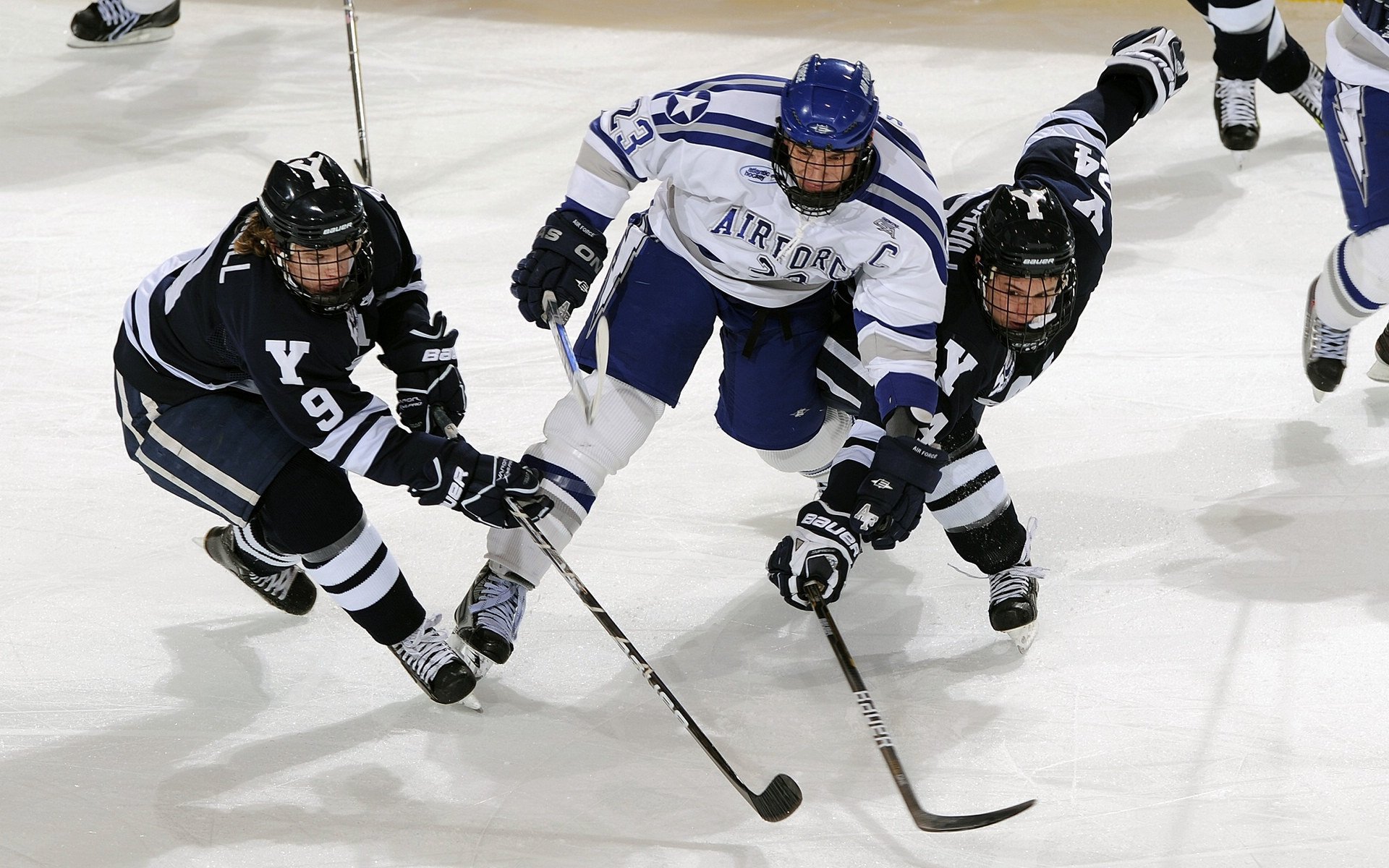 西班牙举办“篮球无国界”欧洲训练营，促进篮球发展，西班牙篮球战术
